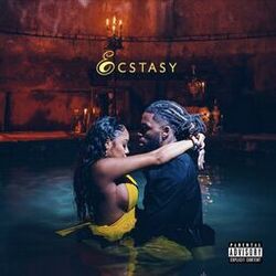 Cover of Ecstasy