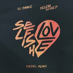 Cover of Selfish Love (Tiësto Remix)