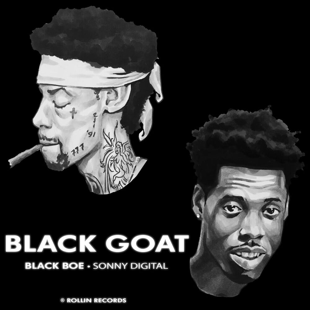 Picture of Black Goat