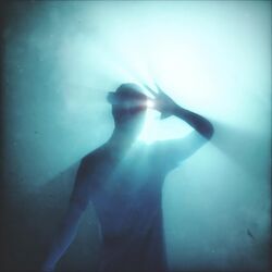 Cover of Shambala
