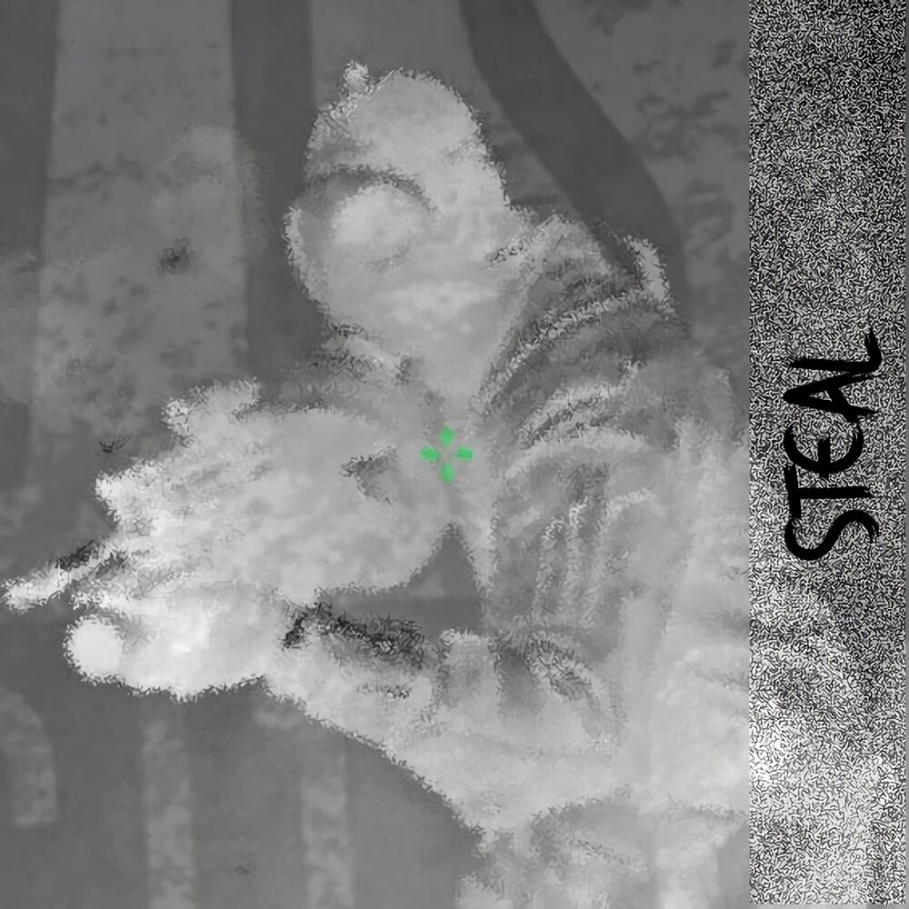Picture of Steal