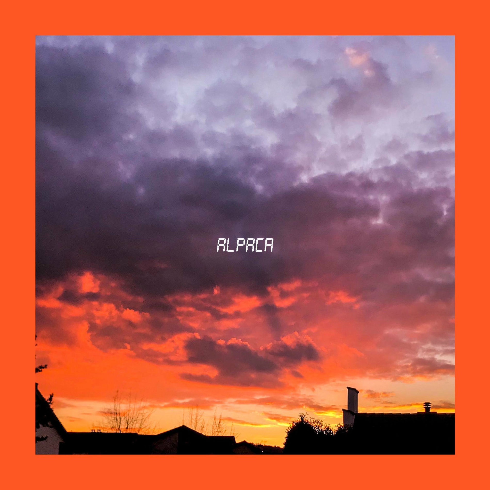 Album cover of Alpaca