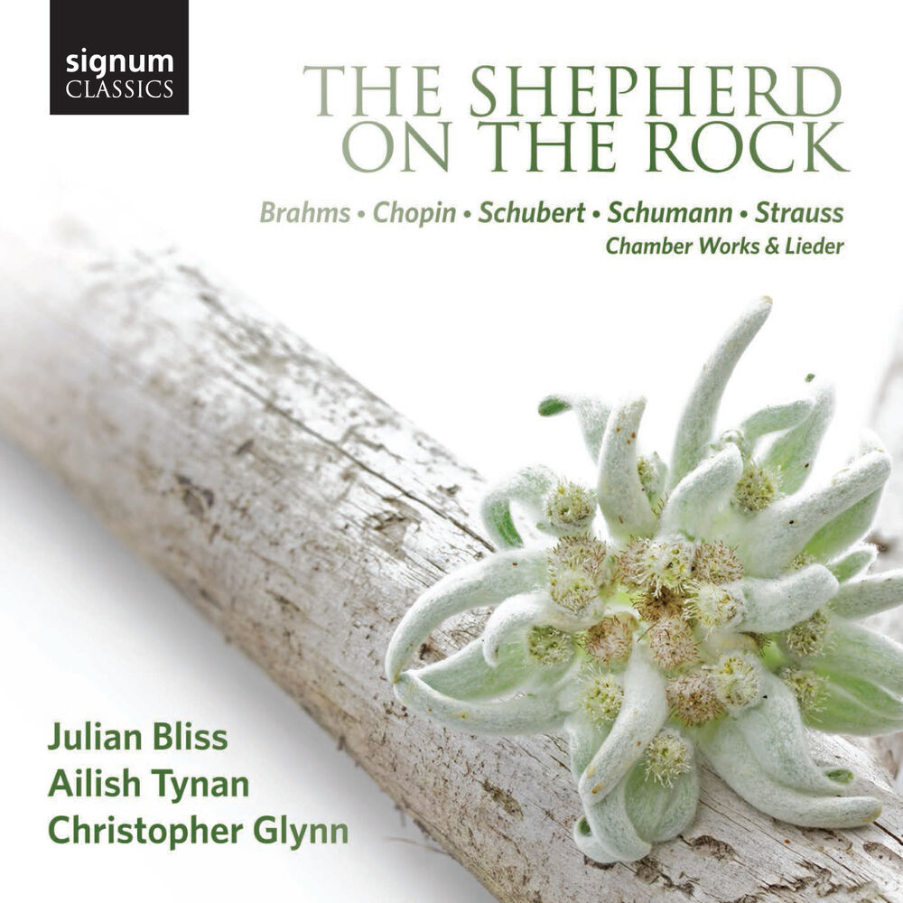 Picture of The Shepherd on the Rock: Chamber Works and Lieder by Brahms, Chopin, Schubert, Schumann and Strauss