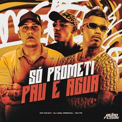 Cover of Só Prometi Pau e Água