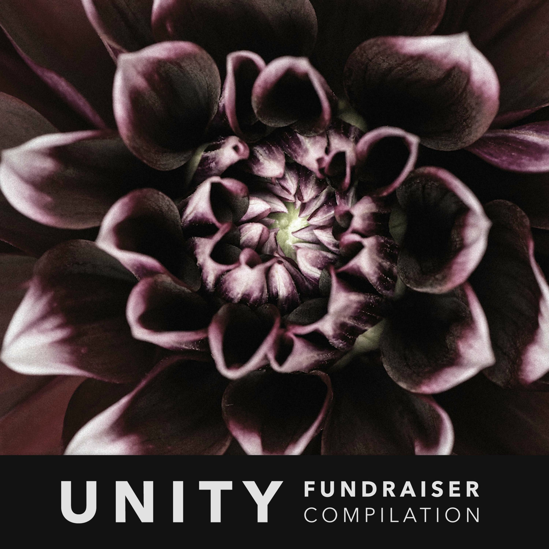 Album cover of UNITY Fundraiser Compilation