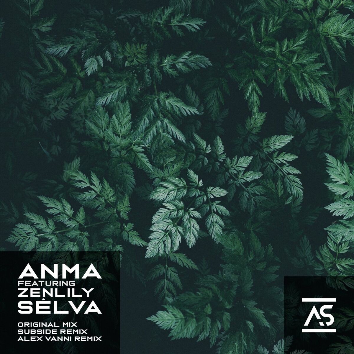 Album cover of Sèlva