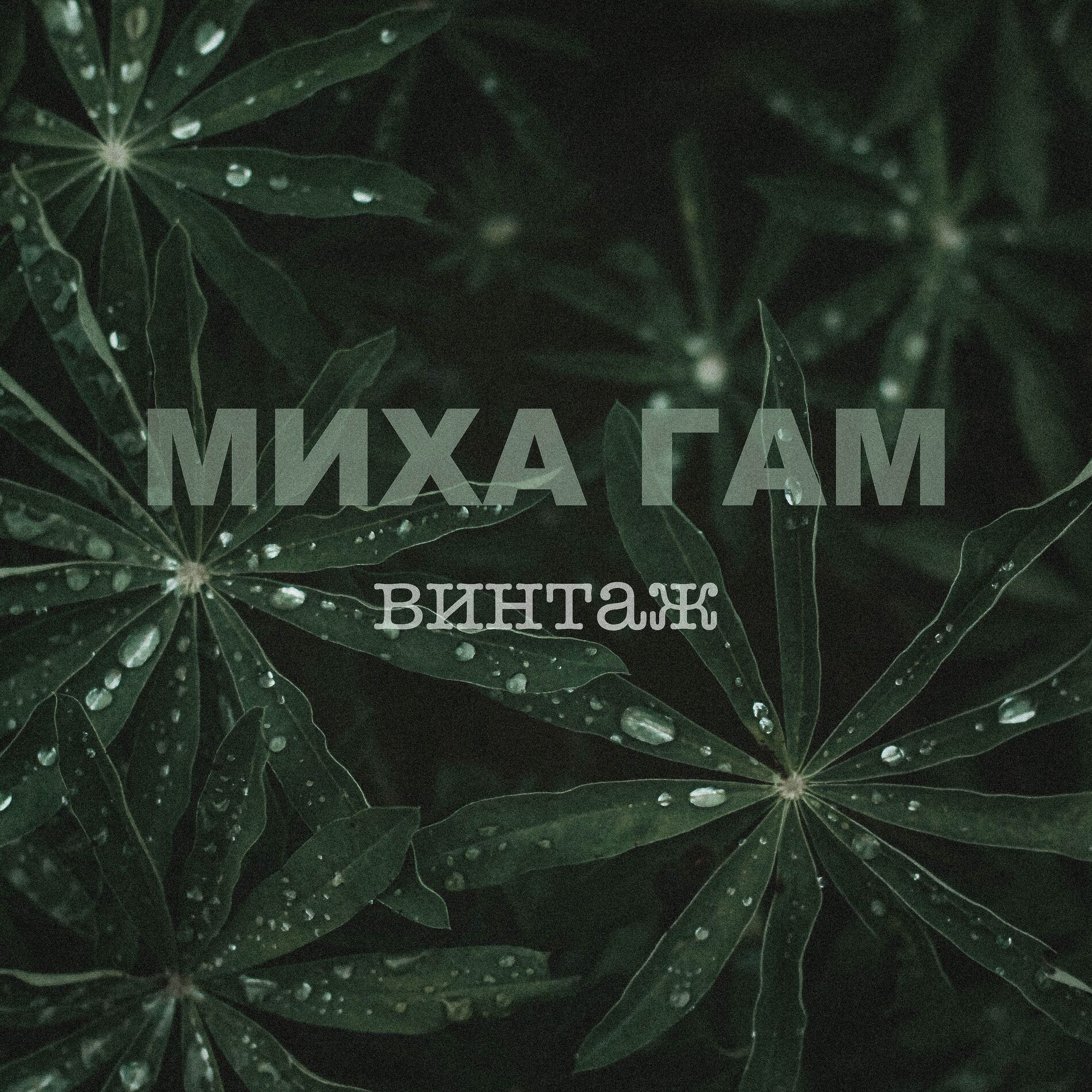 Album cover of Винтаж