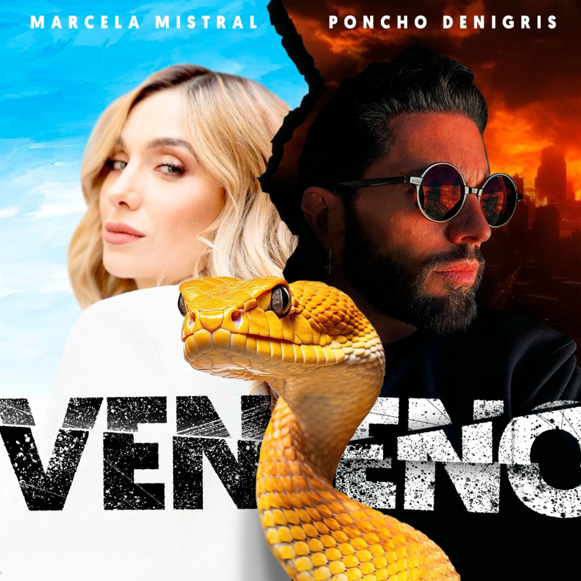 Album cover of Veneno
