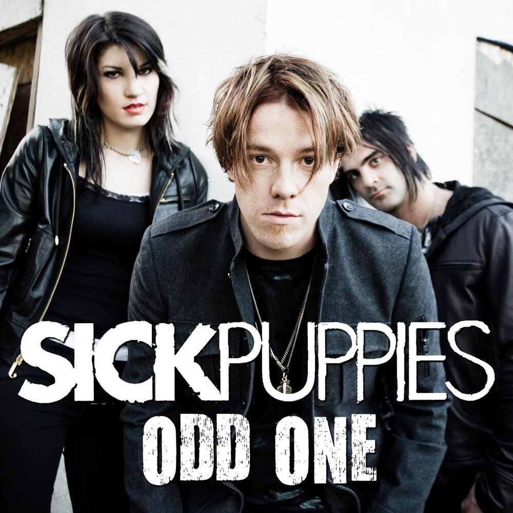 Picture of Odd One