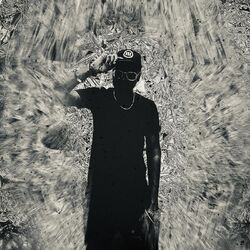 Cover of Lost Cause