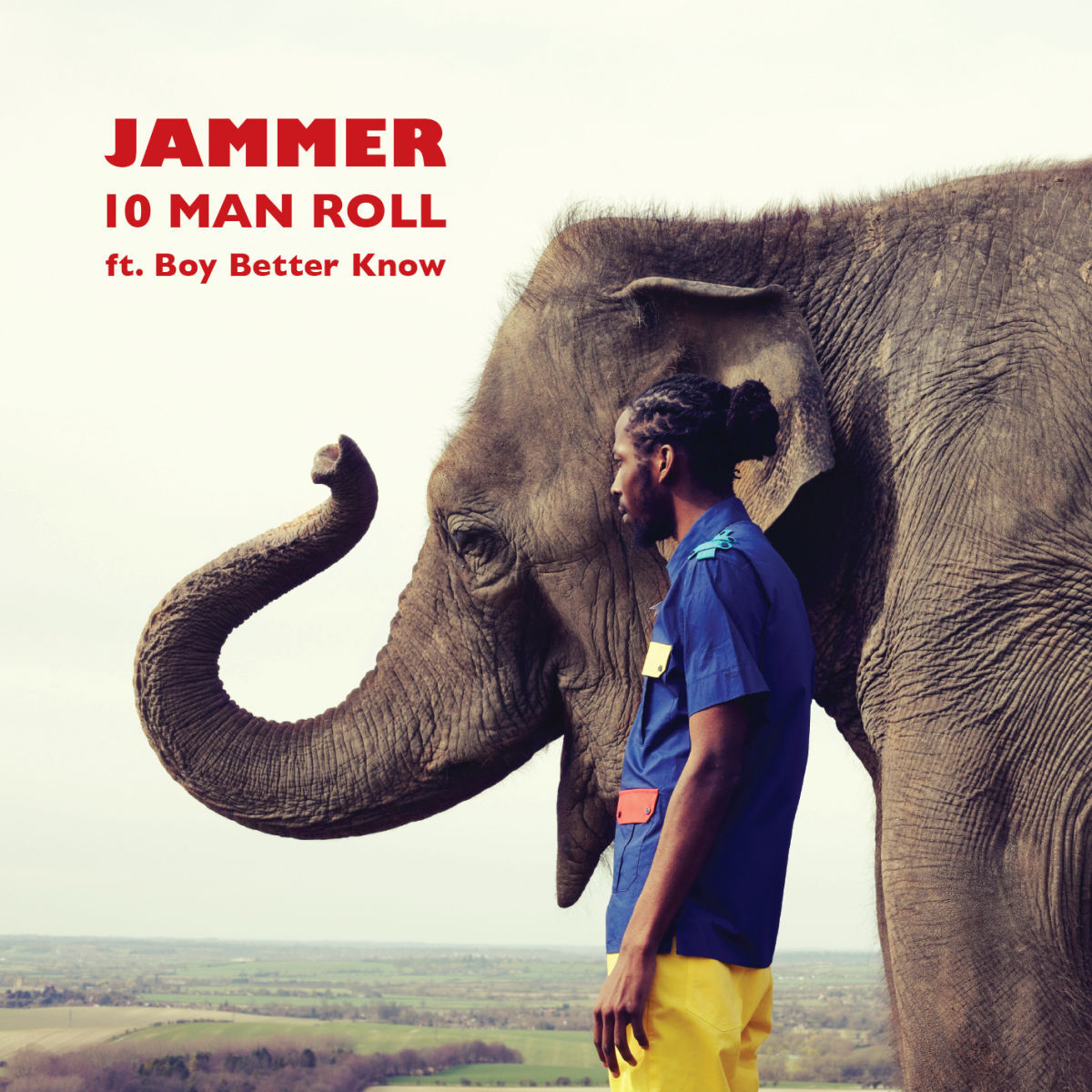 Album cover of 10 Man Roll
