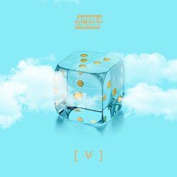 Cover of V