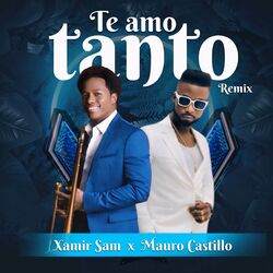 Cover of Te Amo Tanto (Remix)