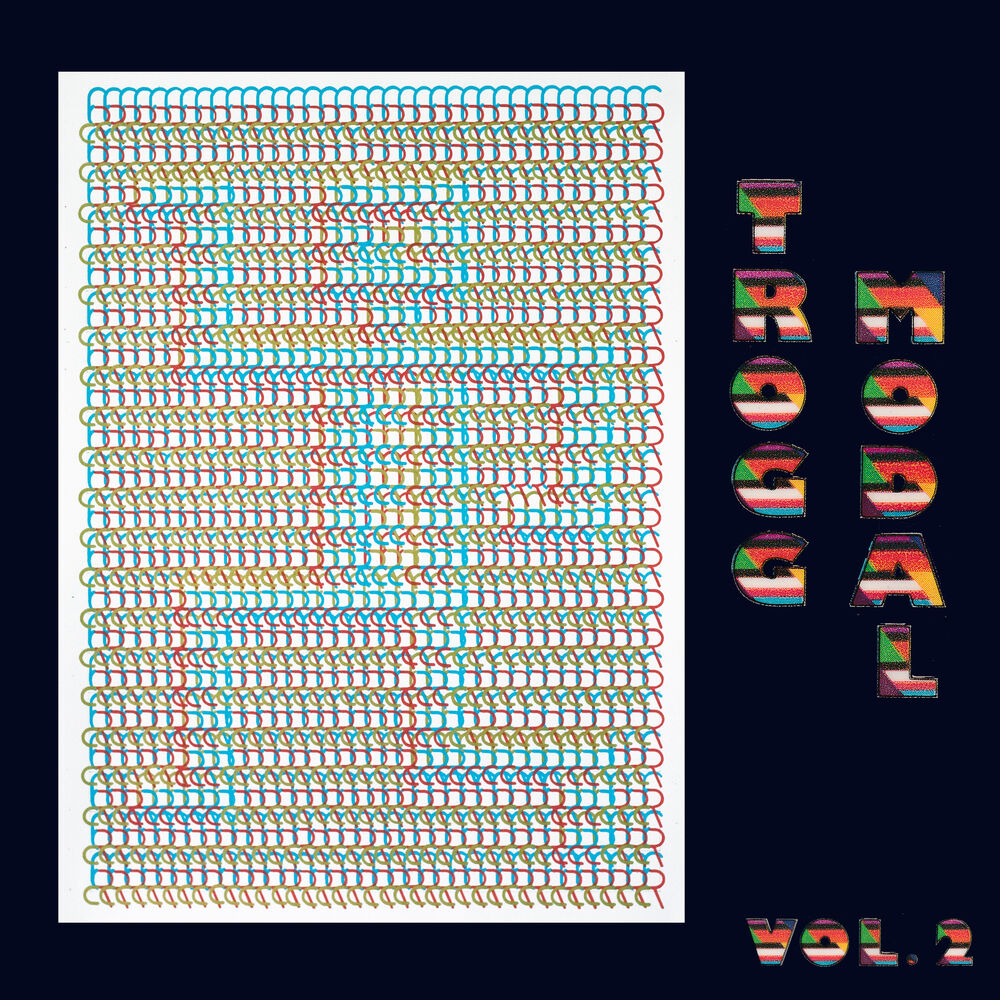 Picture of Trogg Modal, Vol. 2