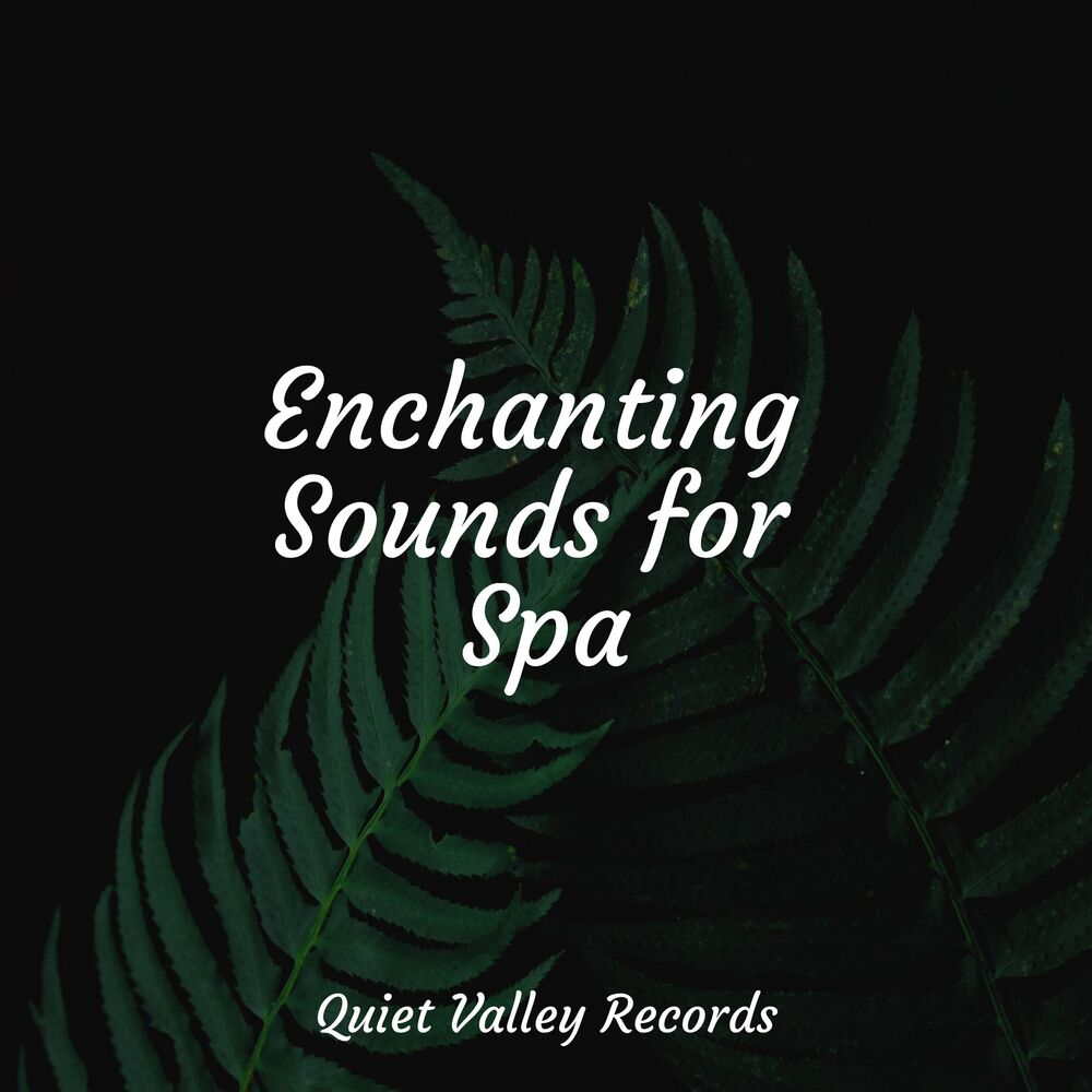 Picture of Enchanting Sounds for Spa