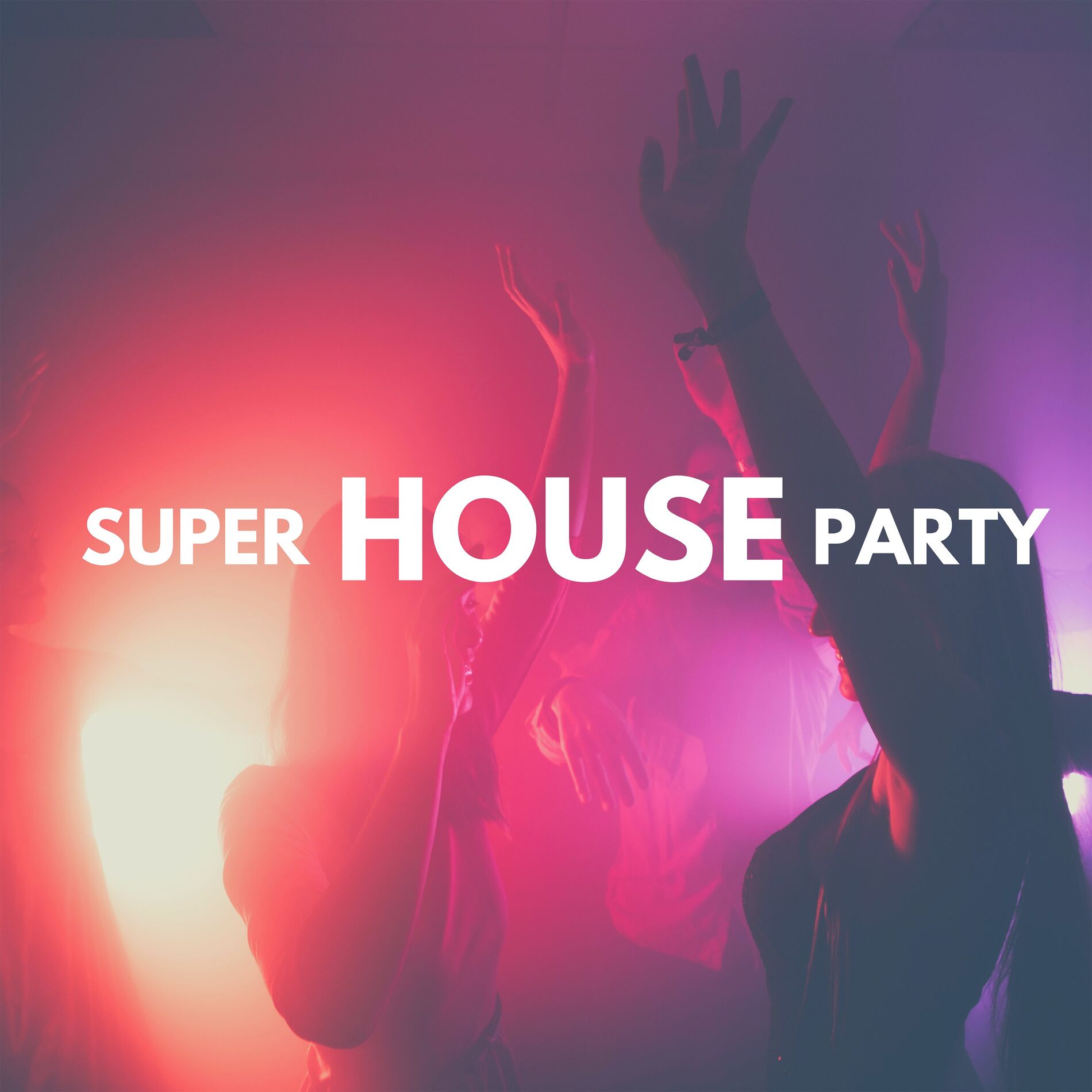 Album cover of Super House Party