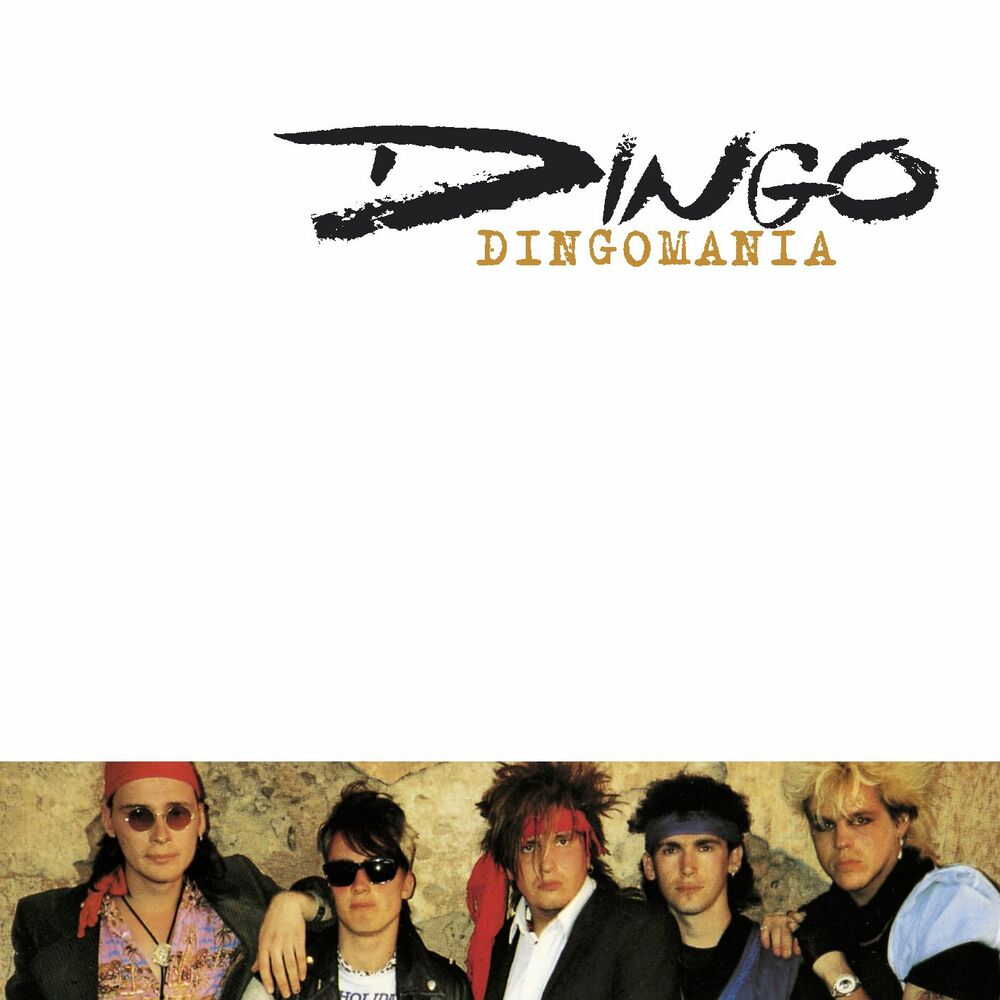 Picture of Dingomania