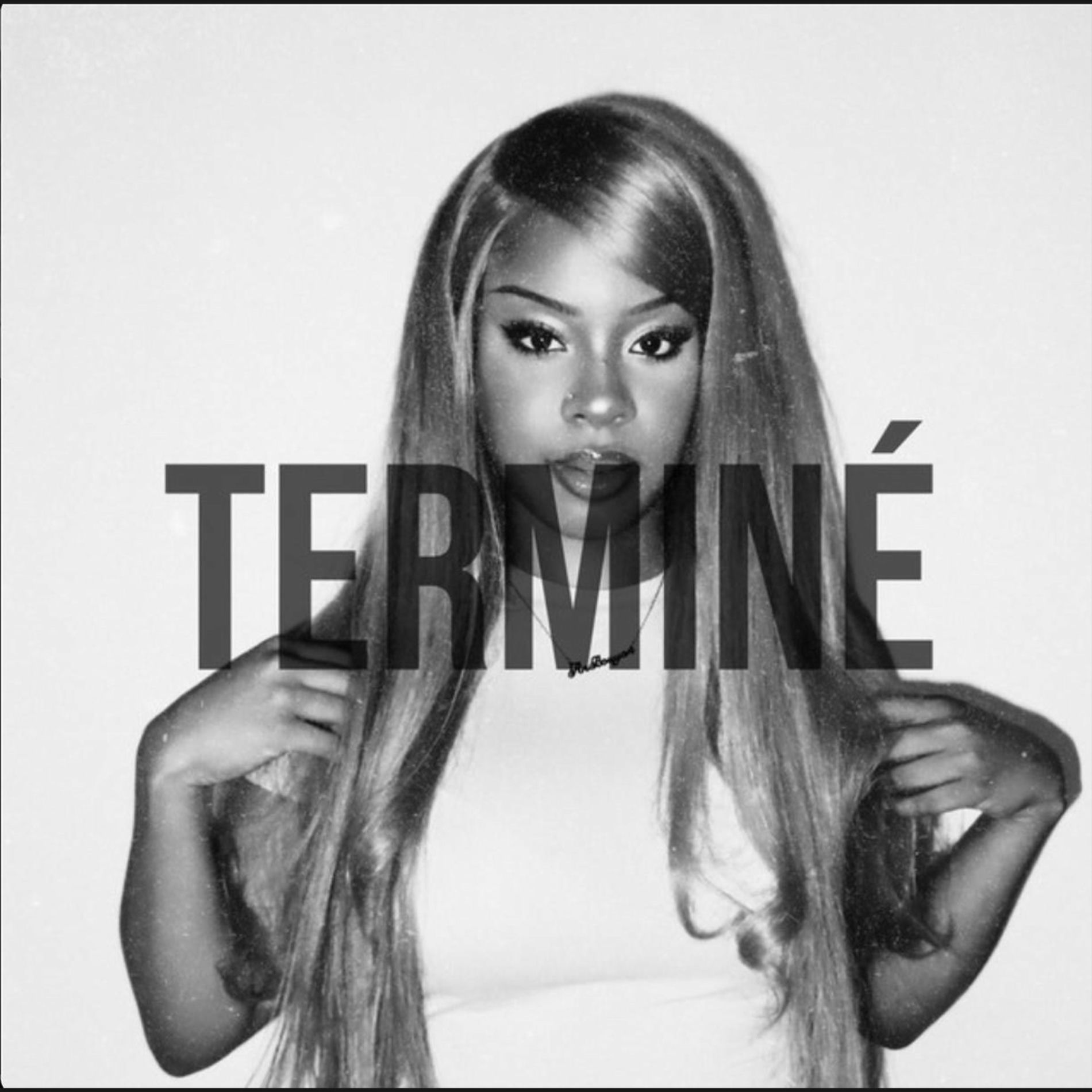 Album cover of Terminé