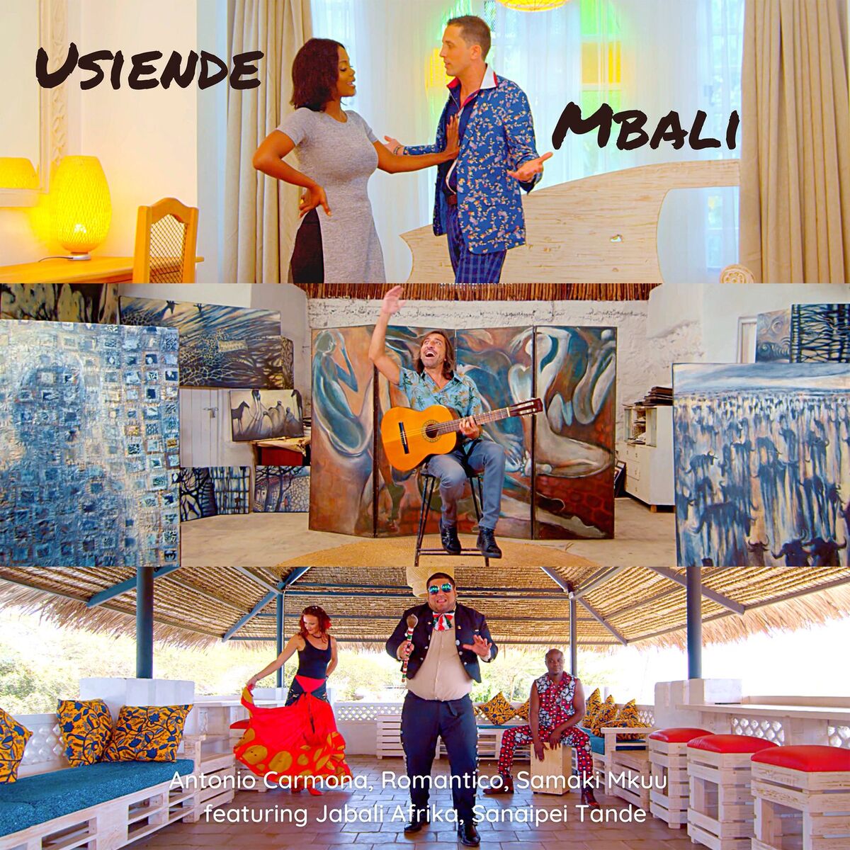 Album cover of Usiende Mbali