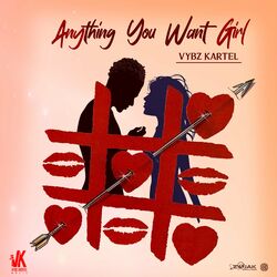 Cover of Anything You Want Girl