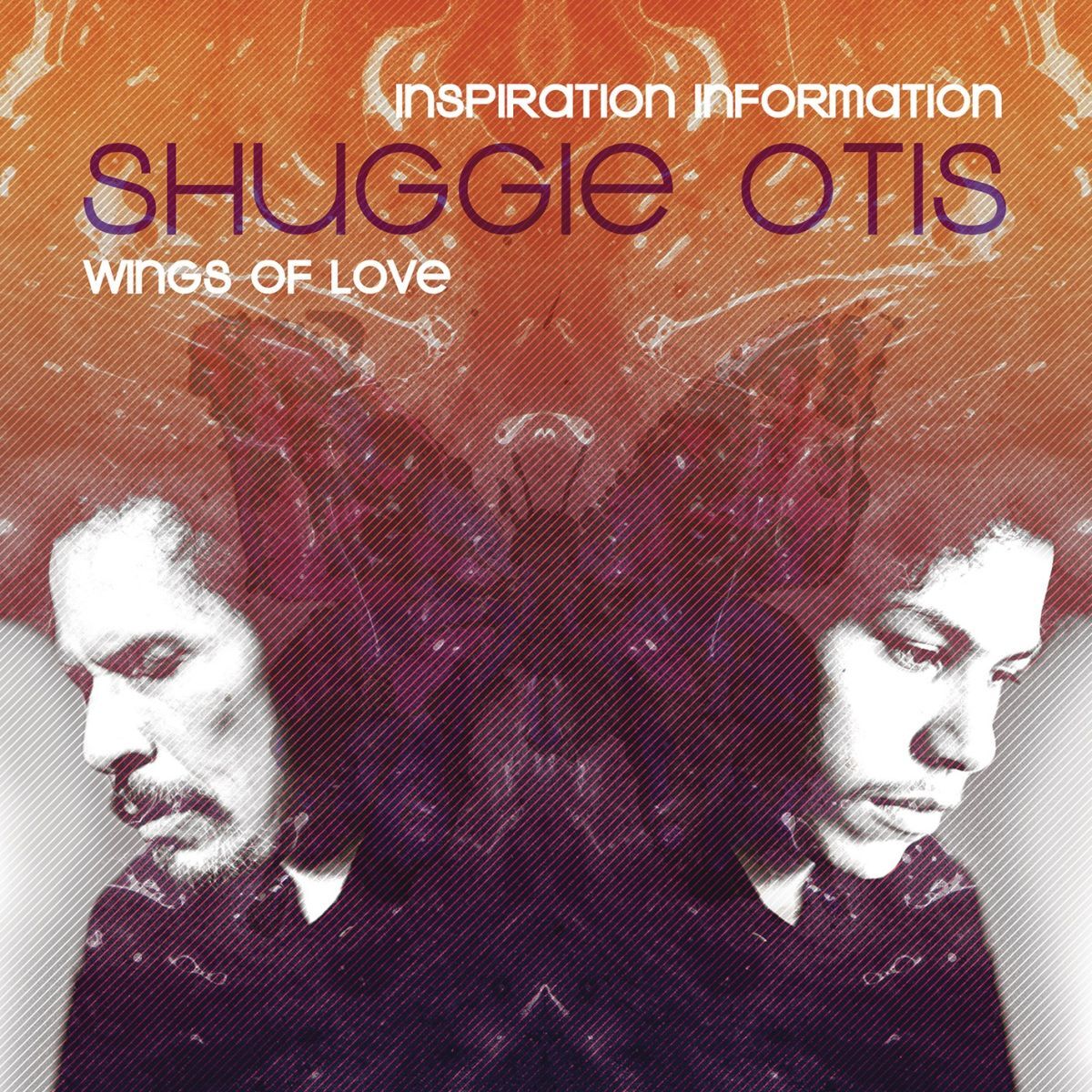 Album cover of Inspiration Information