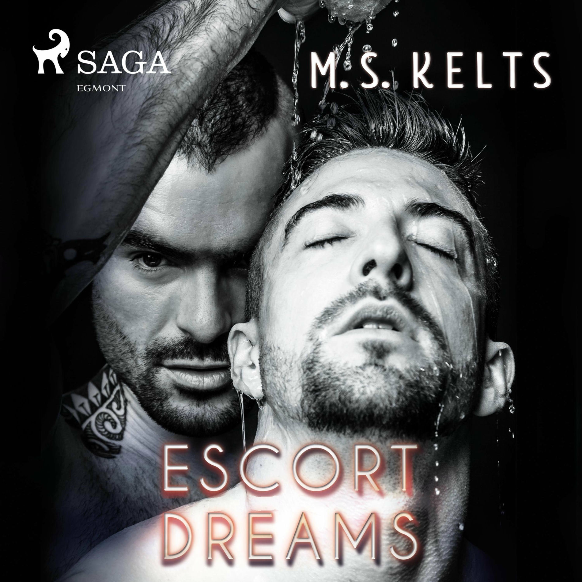 Album cover of Kapitel 1 - Escort Dreams - Dreams-Reihe 1 & Kapitel 2 - Escort Dreams - Dreams-Reihe 1.1 - Escort Dreams (Dreams-Reihe): Gay Roma