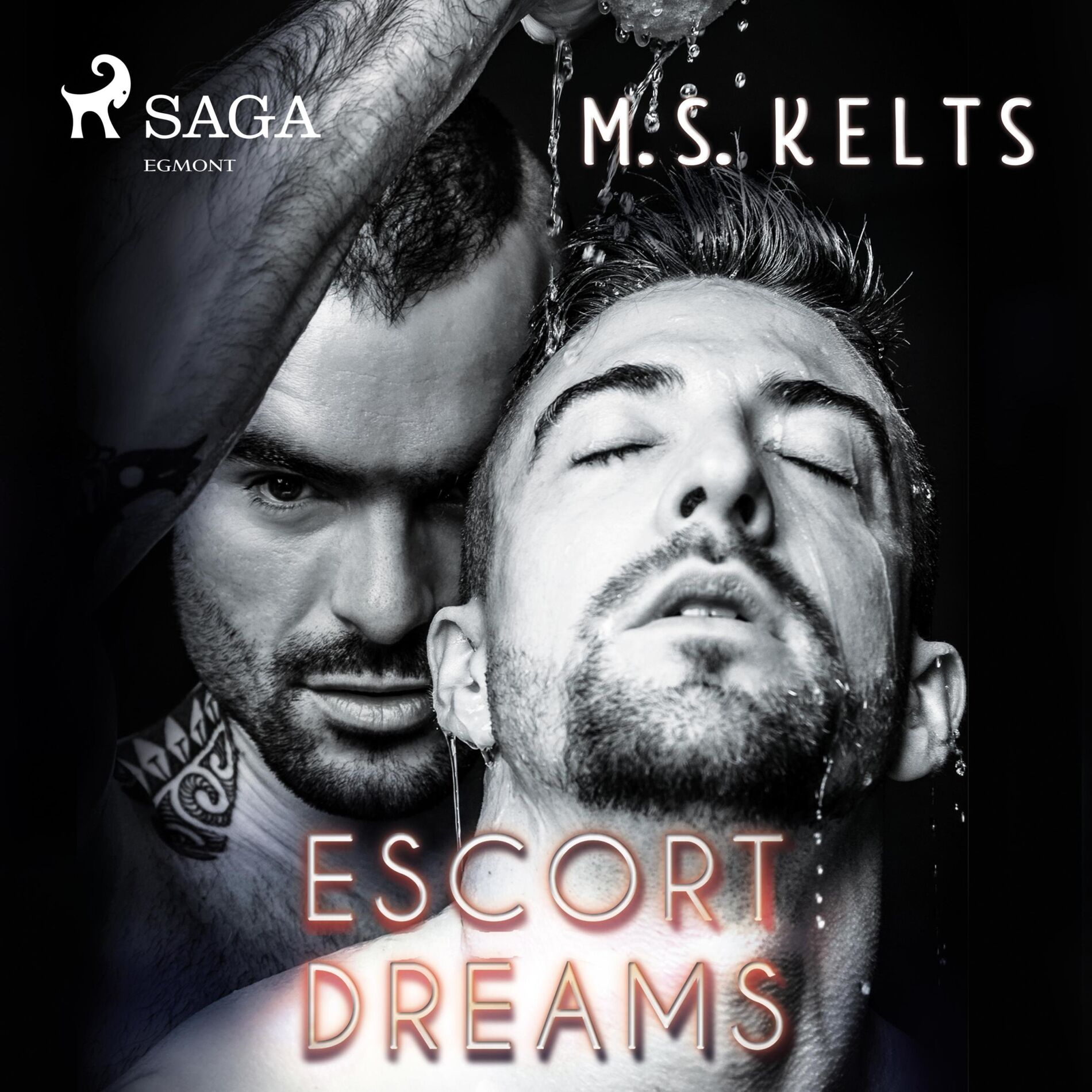 Album cover of Escort Dreams (Dreams-Reihe): Gay Romance