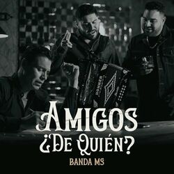 Cover of Amigos ¿De Quién?