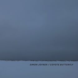 Cover of Coyote Butterfly