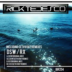 Cover of D.S.W.