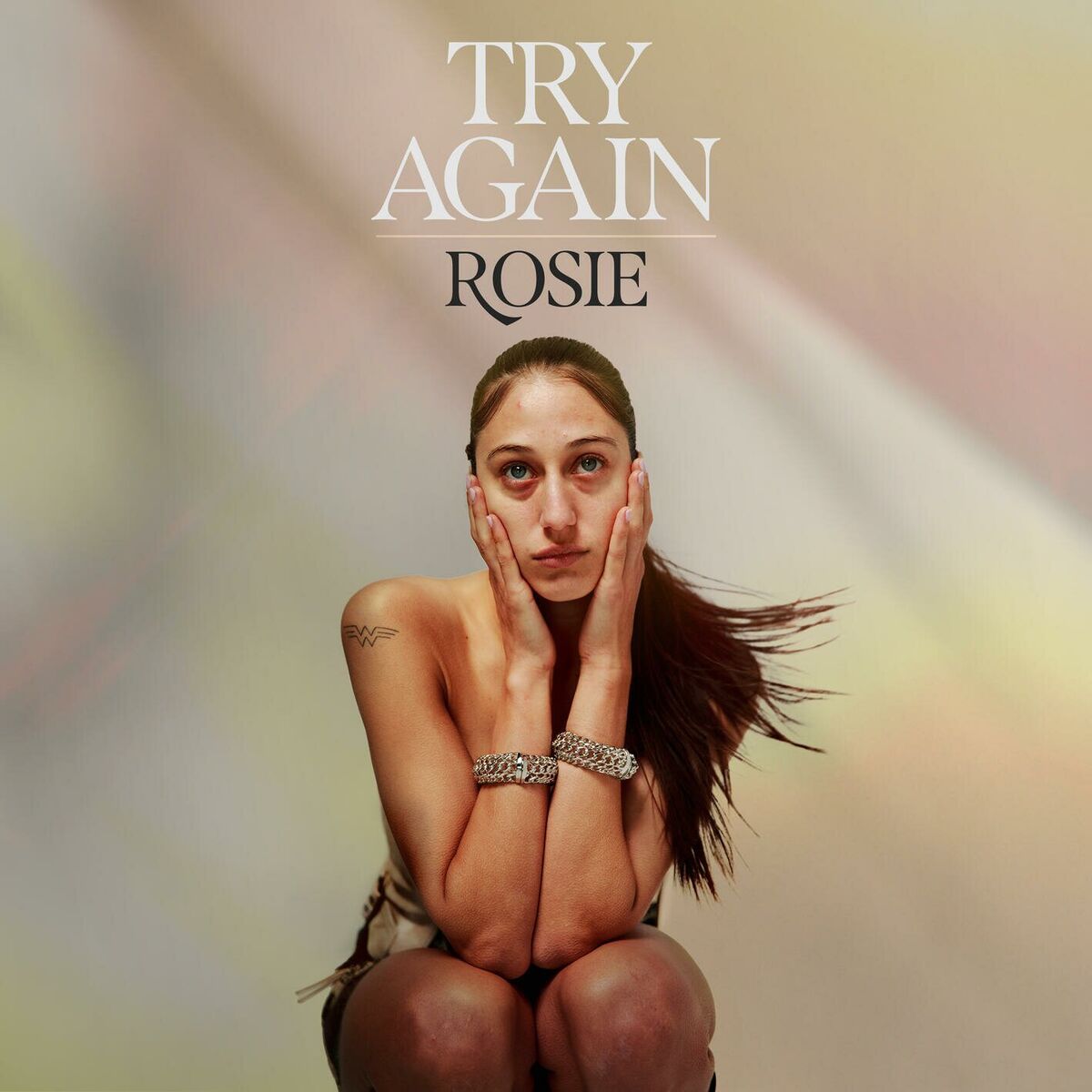 Album cover of Try Again