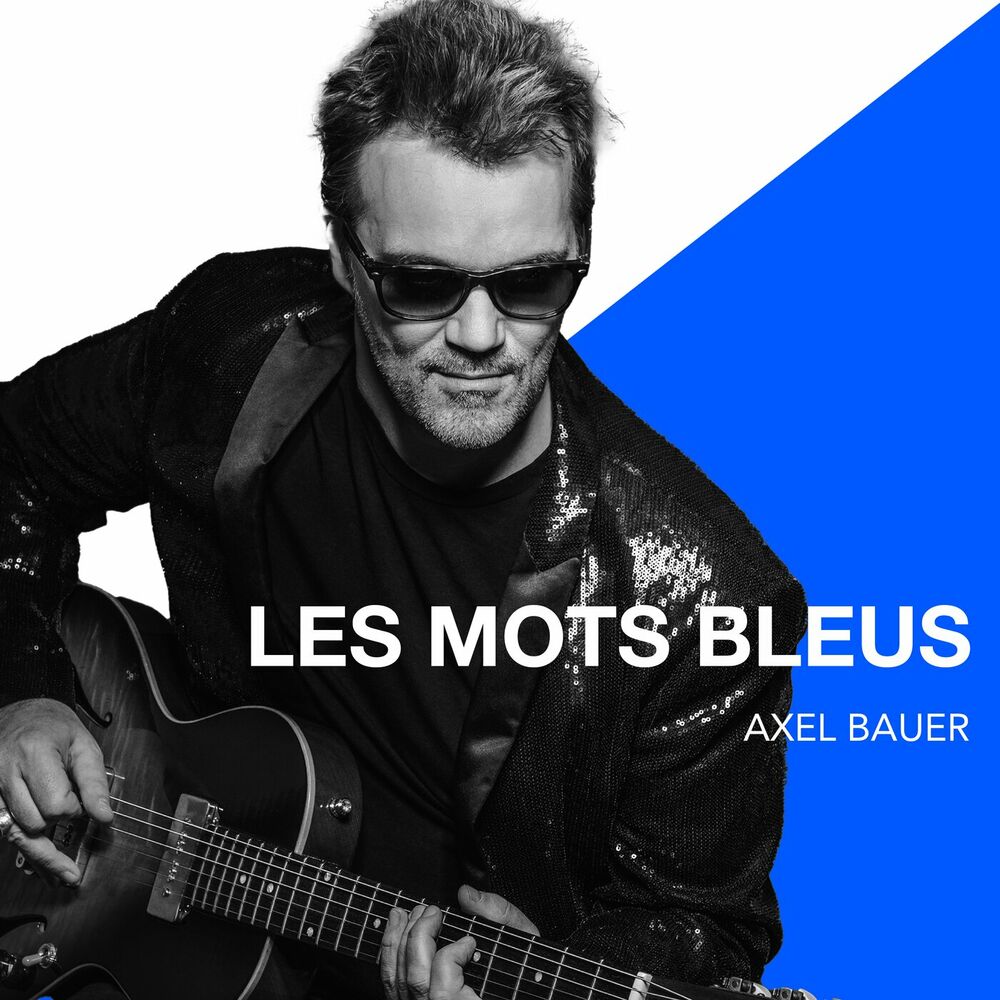 Picture of Les mots bleus