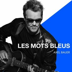 Cover of Les mots bleus