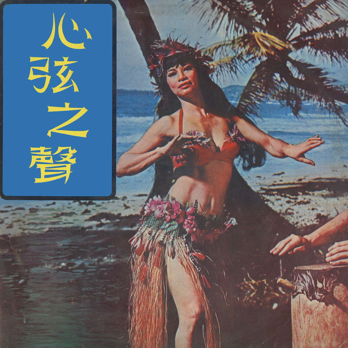Album cover of 心弦之聲