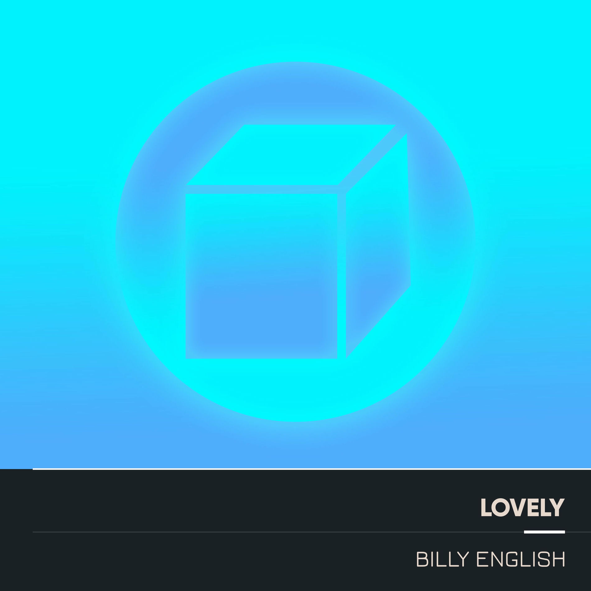 Album cover of Lovely