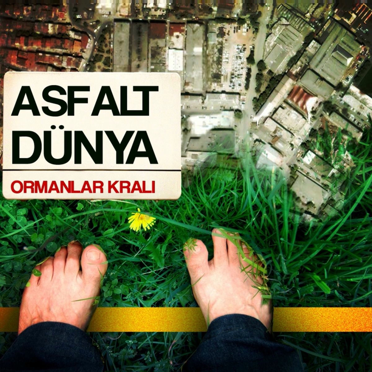 Album cover of Ormanlar Kralı