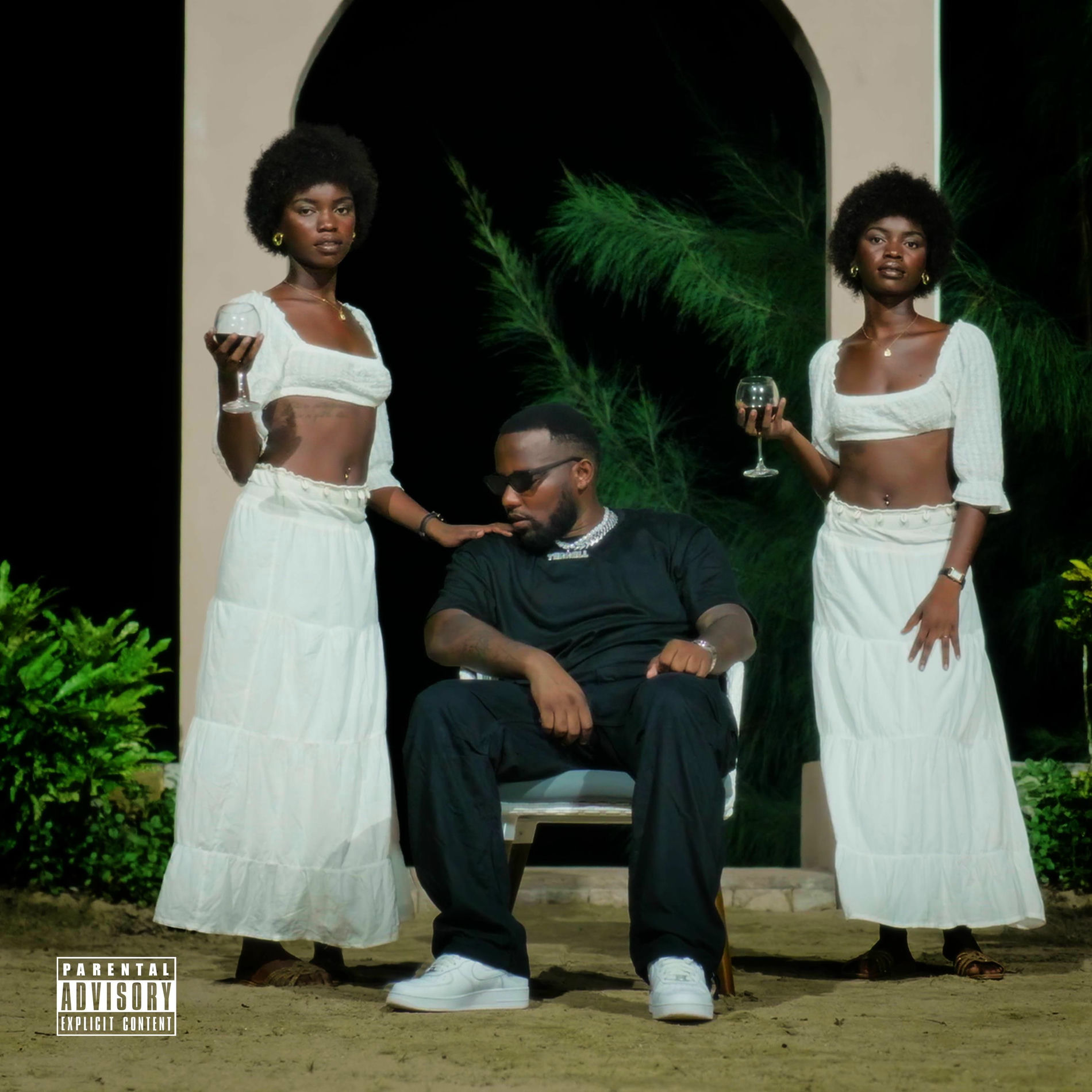 Album cover of WAA