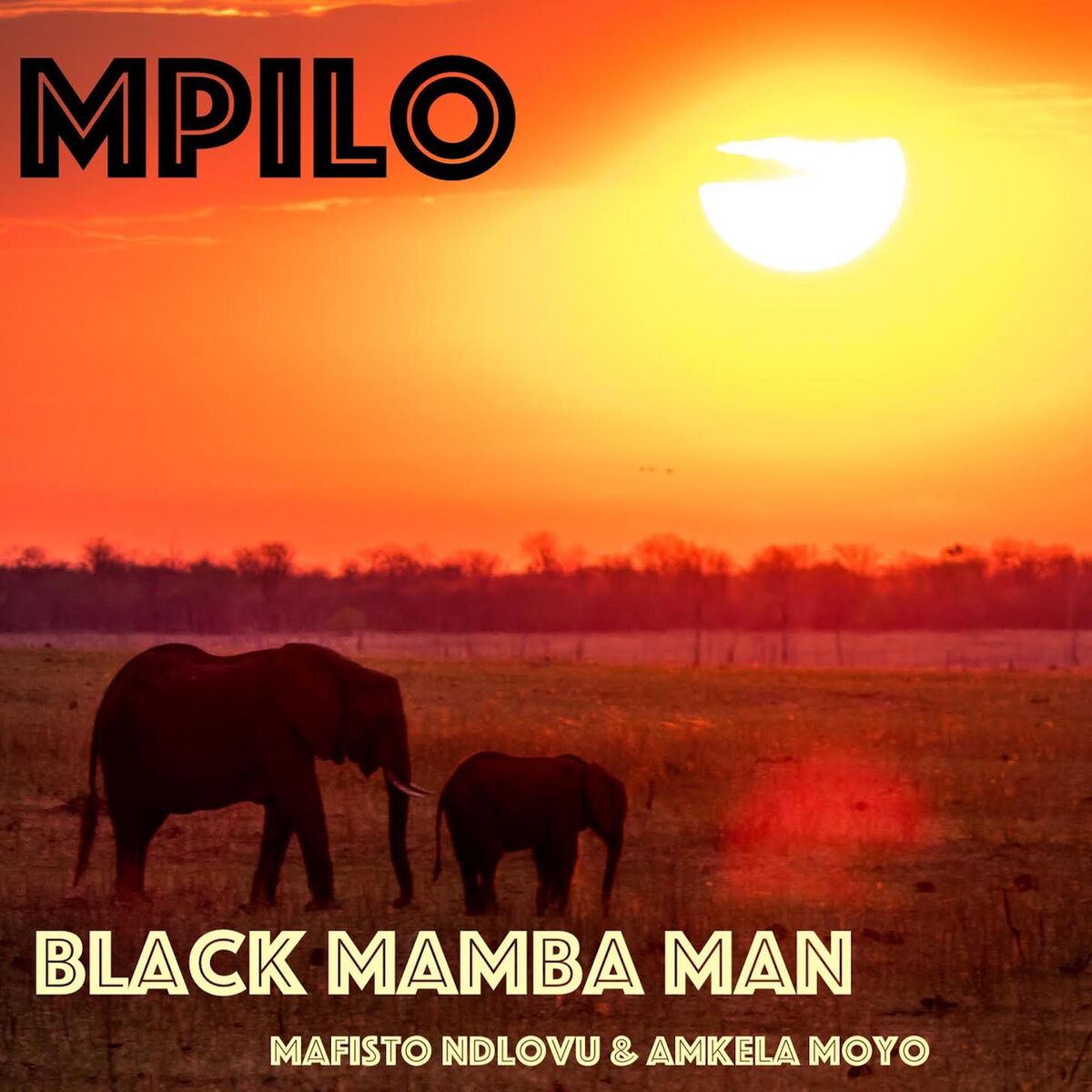Album cover of Mpilo