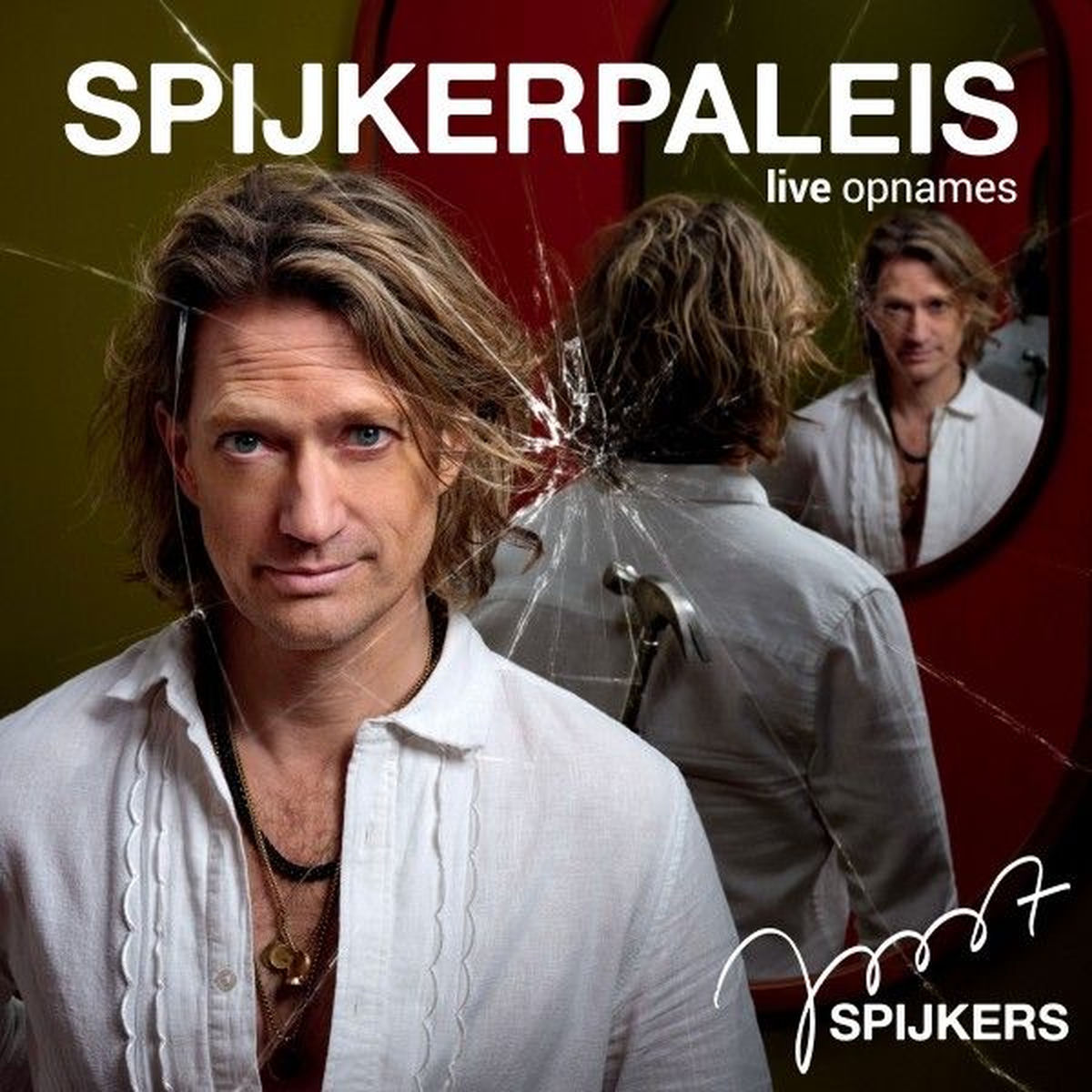 Album cover of Spijkerpaleis (Live)