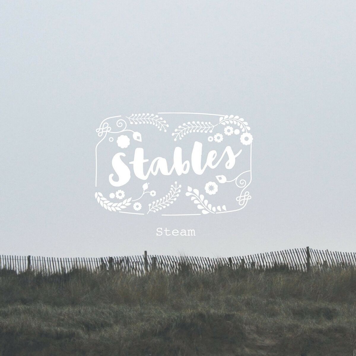 Album cover of Steam