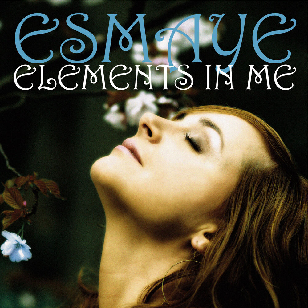 Picture of Elements in Me