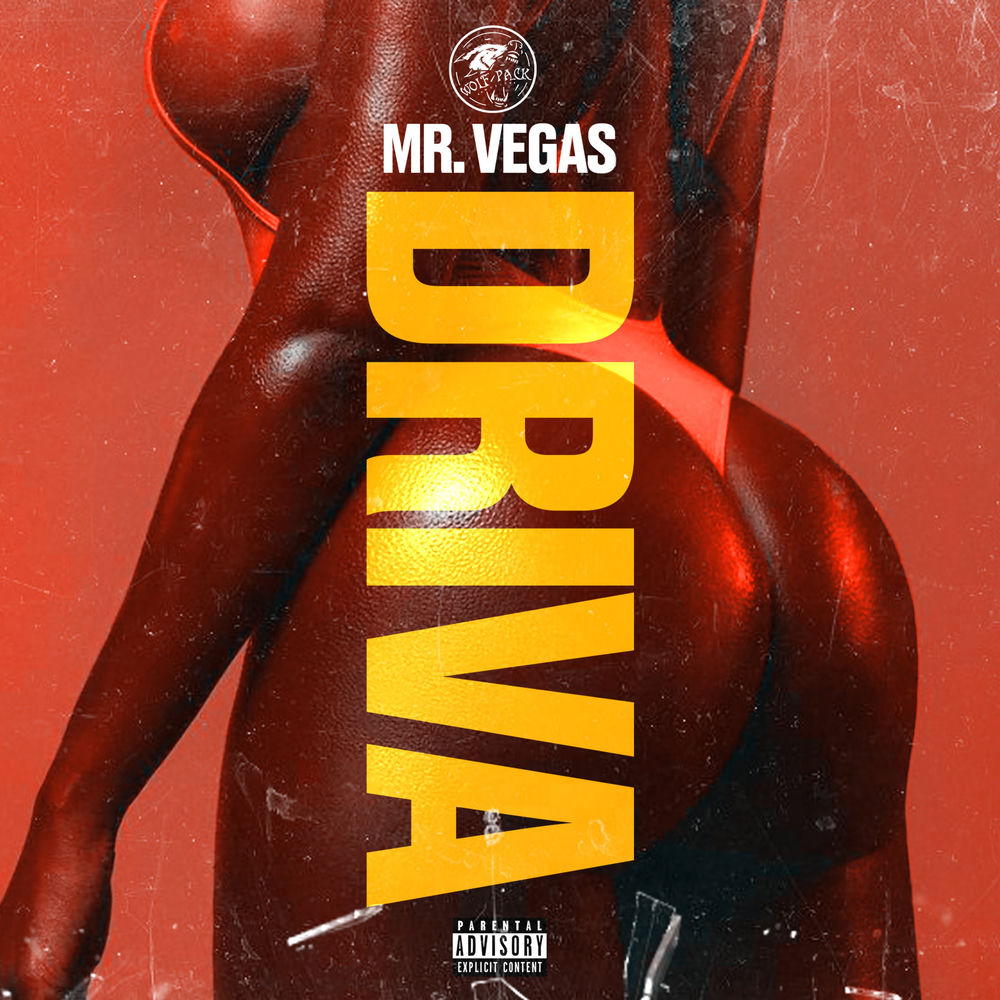 Driva cover