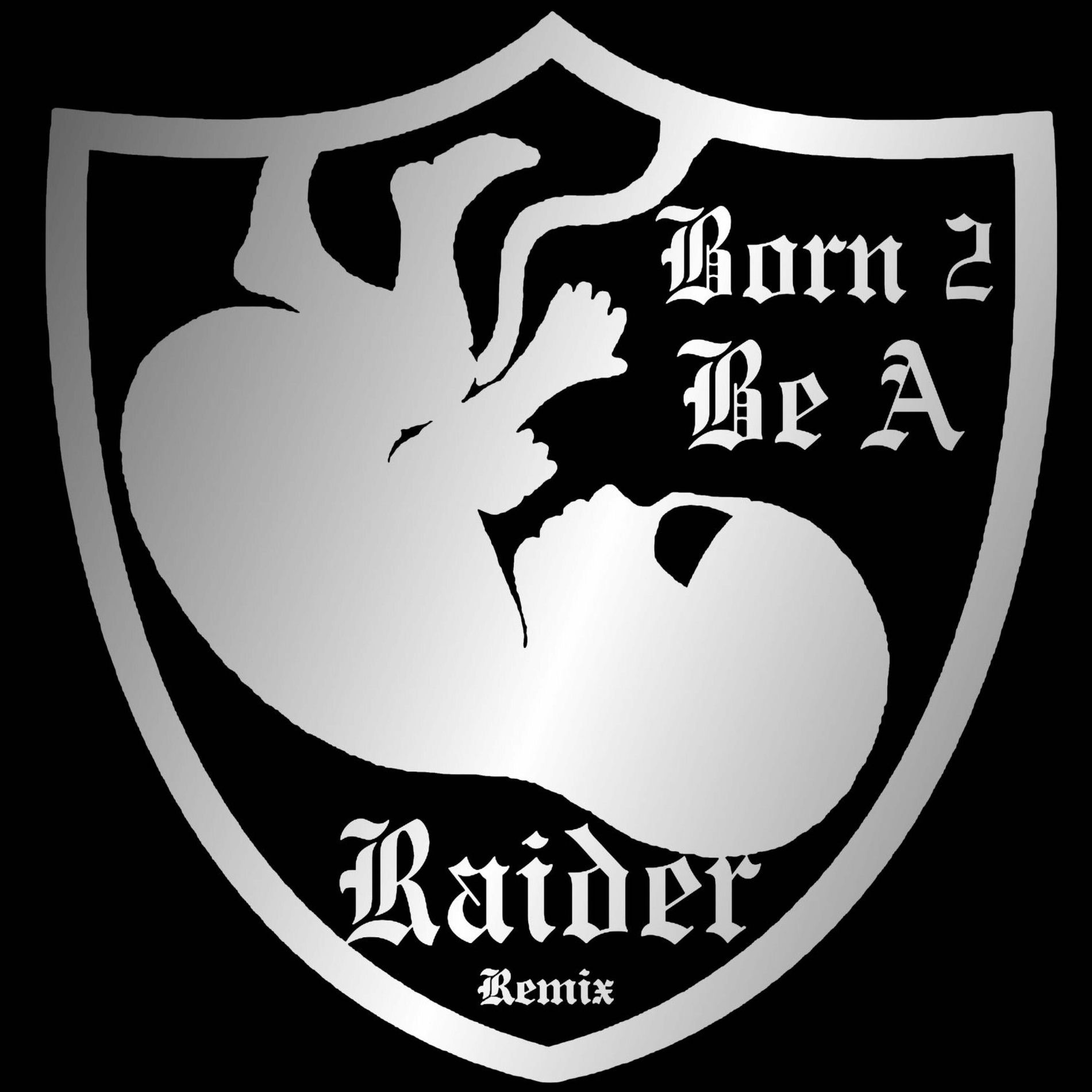 Album cover of Born 2 be a Raider (feat. Mellow Man Ace & Sen Dog) [Remix]