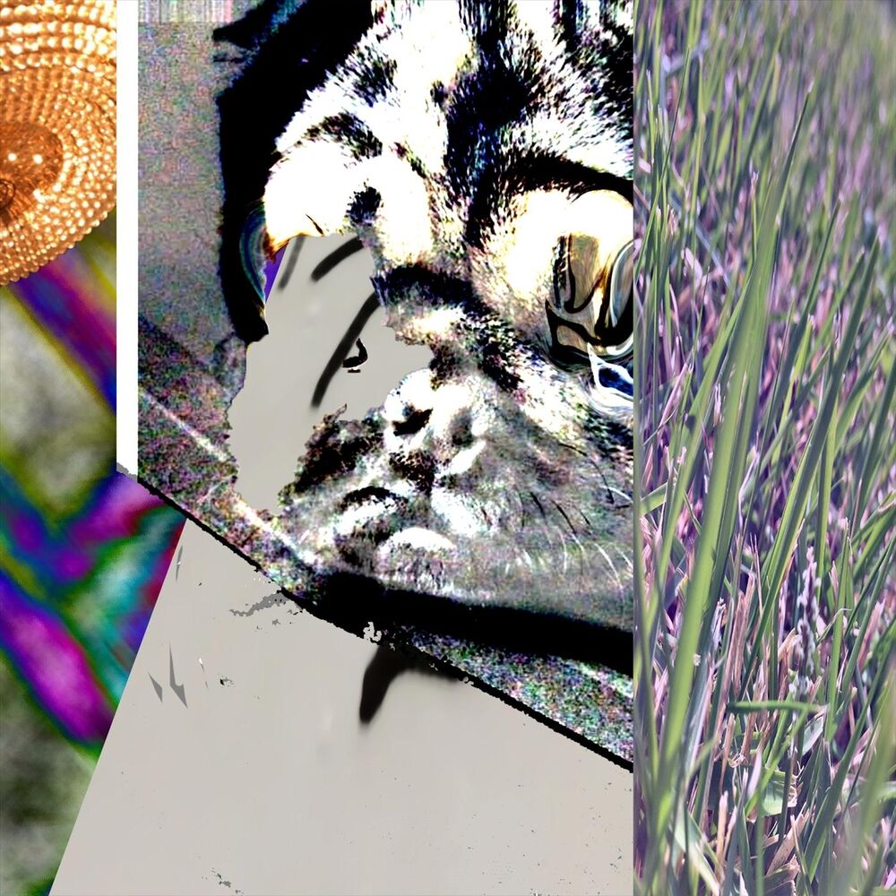 Picture of Coincidence