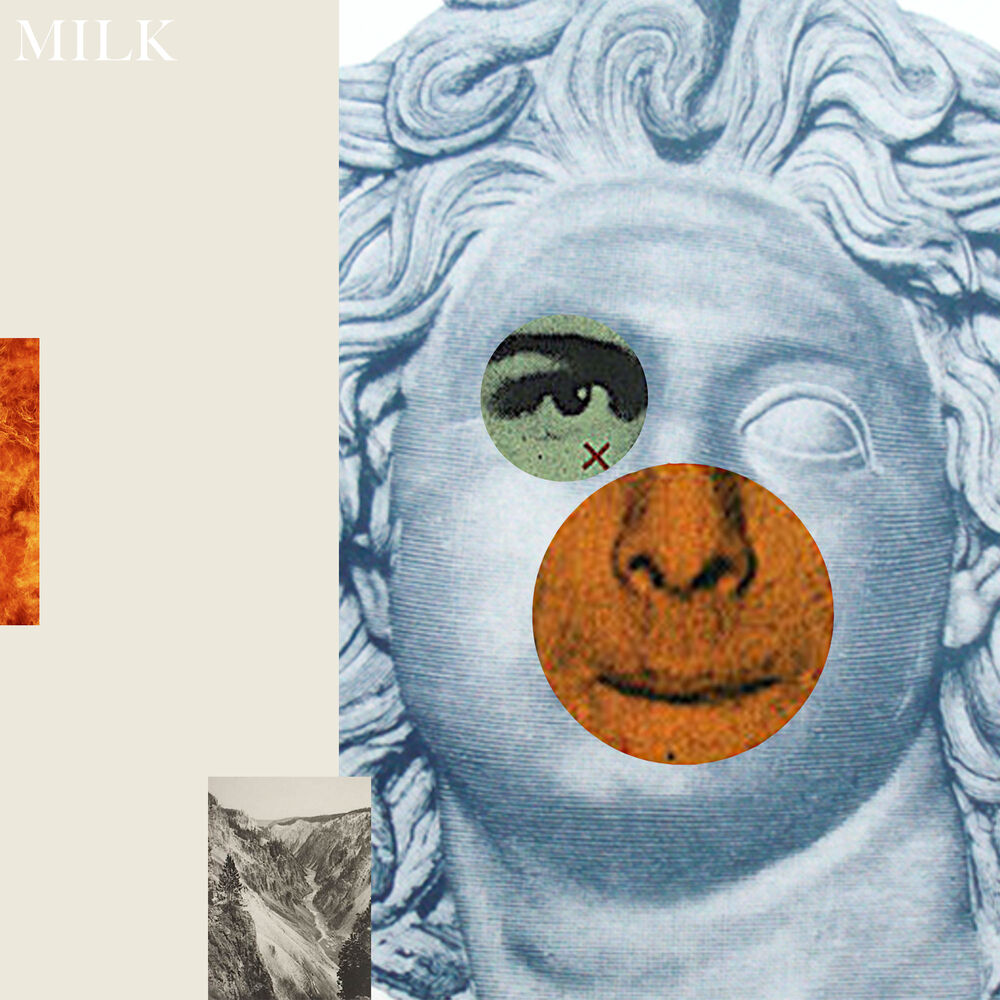 Picture of Milk