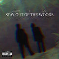 STAY OUT OF THE WOODS