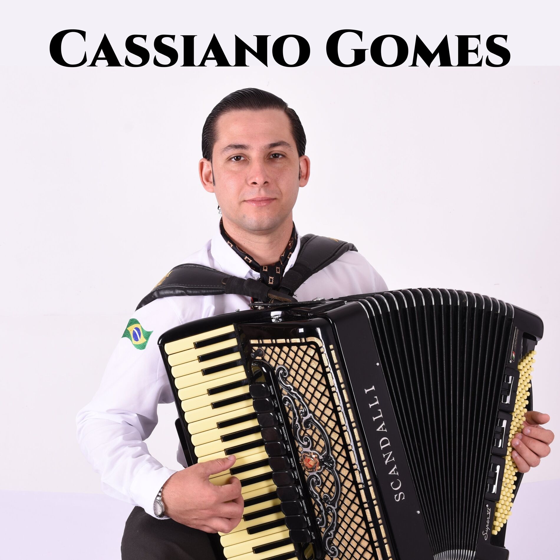 Album cover of A Gaita do Gildo de Freitas