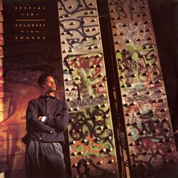 Cover of Youngest in Charge (Expanded Edition)