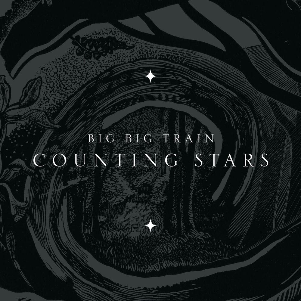 Counting Stars cover