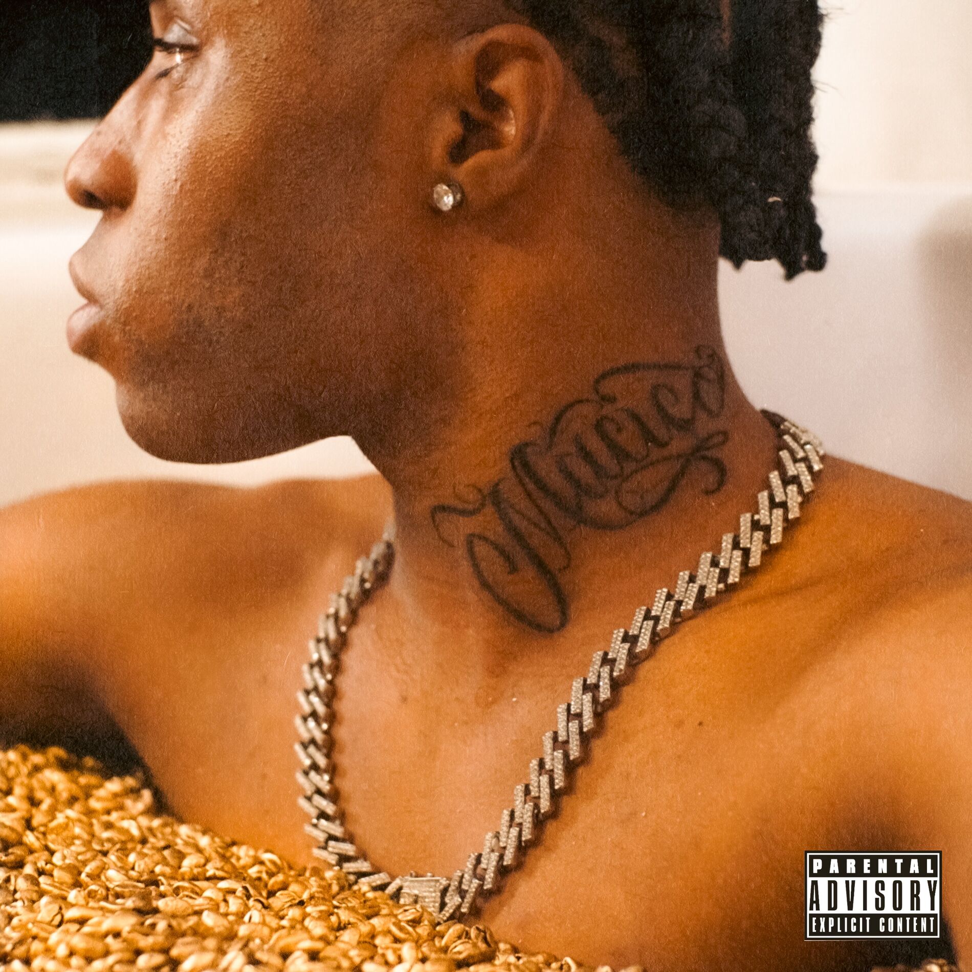 Album cover of Maciço